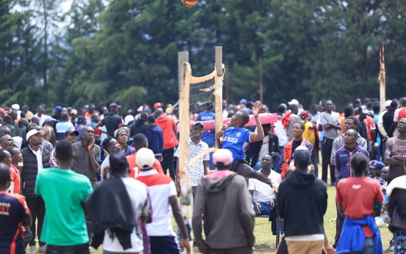 WhatsApp Image 2026-02-22 at 20.05.53 (2)