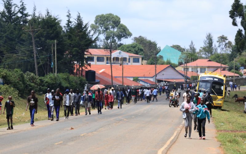 WhatsApp Image 2026-02-22 at 20.06.02