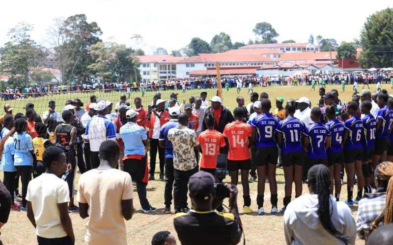 WhatsApp Image 2026-02-22 at 20.06.04