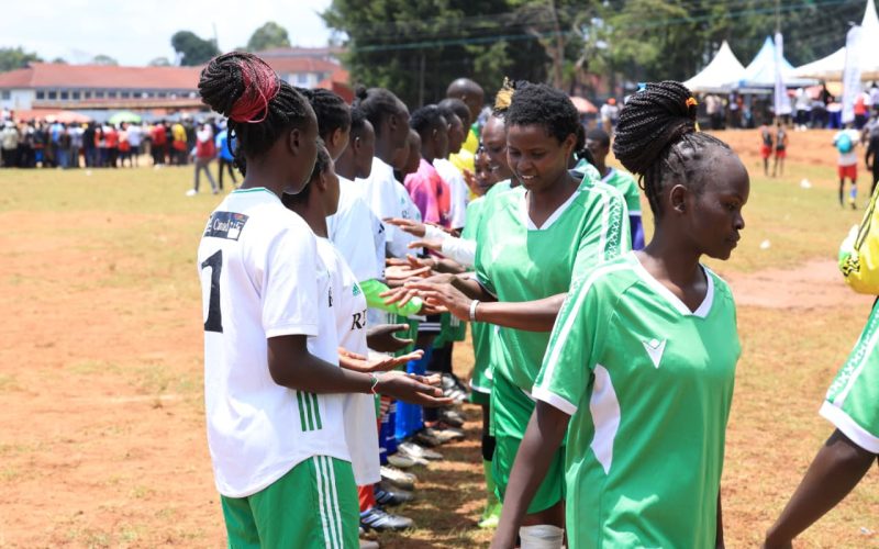 WhatsApp Image 2026-02-22 at 20.06.08