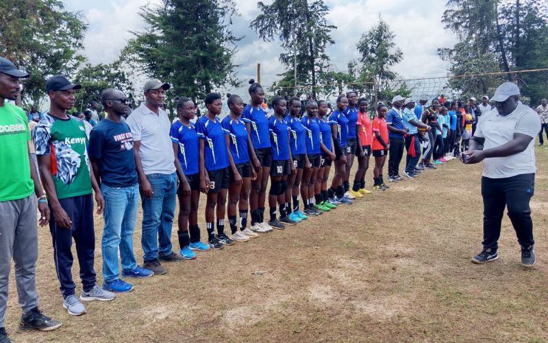 WhatsApp Image 2026-02-23 at 03.11.31